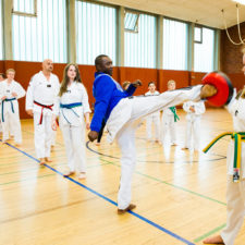 taekwando-tsg-kirchherllen-2